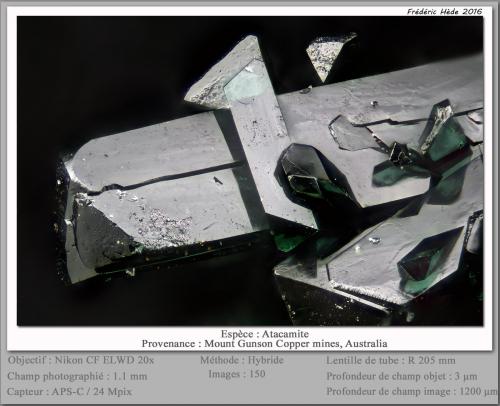 Atacamite<br />Cattle Grid deposit (Mount Gunson), Mount Gunson Copper mines, Pernatty Lagoon, Stuart Shelf, South Australia, Australia<br />fov 1.1 mm<br /> (Author: ploum)