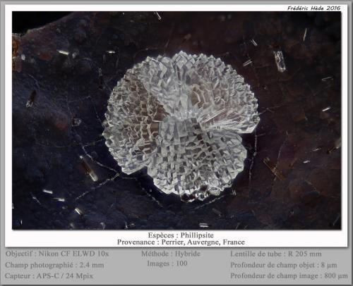 Phillipsite-K<br />Perrier, Distrito Issoire, Departamento Puy-de-Dôme, Auvergne-Rhône-Alpes, Francia<br />fov 2.4 mm<br /> (Author: ploum)
