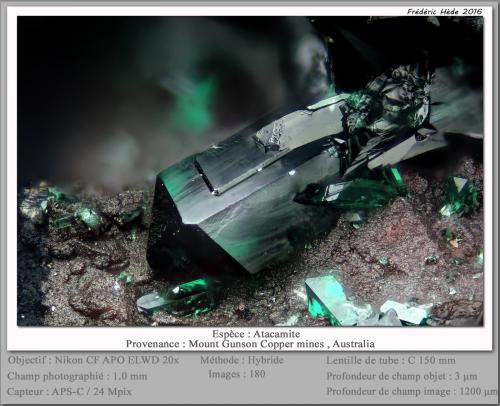 Atacamite<br />Yacimiento Cattle Grid (Mount Gunson), Minas Mount Gunson, Pernatty Lagoon, Stuart Shelf, Australia Meridional, Australia<br />fov 1 mm<br /> (Author: ploum)