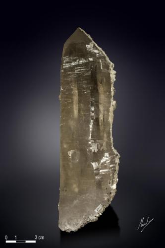 Quartz<br />Minas da Panasqueira, Aldeia de São Francisco de Assis, Covilhã, Castelo Branco, Cova da Beira, Centro, Portugal<br />200 X 56 mm<br /> (Author: Manuel Mesa)