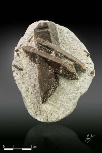 Staurolite<br />Semiostrov'e, Keivy Mountains, Kola Peninsula, Murmanskaja Oblast, Northern Region, Russia<br />113 x 88 mm<br /> (Author: Manuel Mesa)