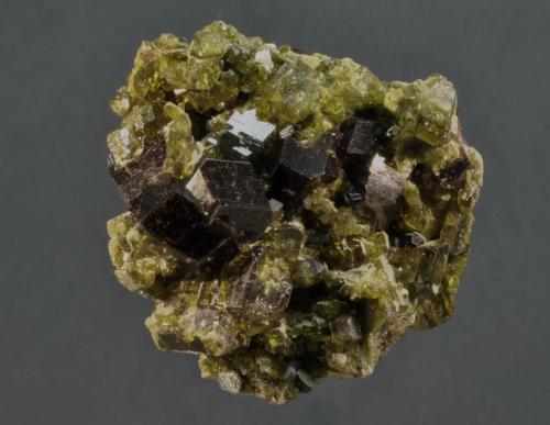 Epidota y Grossularia (Grosularia)<br />Marki Khel, Cordillera Spin Ghar, Distrito Khogyani, Provincia Nangarhar, Afganistán<br />6 x 4 cm<br /> (Autor: Ricardo Fimia)