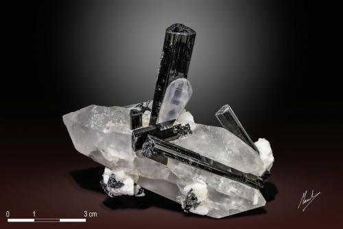 Quartz and Schorl<br />Shigar Valley, Shigar District, Gilgit-Baltistan (Northern Areas), Pakistan<br />81 x 63 mm<br /> (Author: Manuel Mesa)