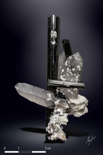 Quartz and Schorl<br />Shigar Valley, Shigar District, Gilgit-Baltistan (Northern Areas), Pakistan<br />91 x 55 mm<br /> (Author: Manuel Mesa)