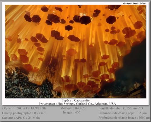 Cacoxenite<br />Hot Springs, Garland County, Arkansas, USA<br />fov 0.25 mm<br /> (Author: ploum)