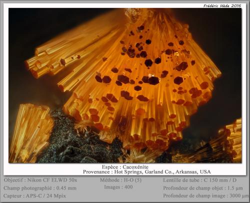 Cacoxenite<br />Hot Springs, Garland County, Arkansas, USA<br />fov 0.45 mm<br /> (Author: ploum)