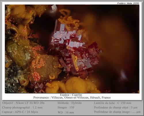 Cuprite<br />Villecun, Olmet-et-Villecun, Lodève Canton, Lodève District, Hérault, Occitanie, France<br />fov 1.2 mm<br /> (Author: ploum)