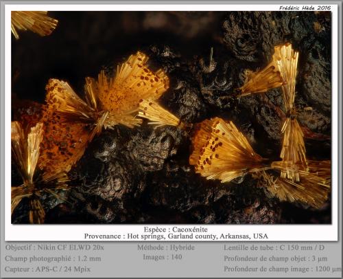 Cacoxenite<br />Hot Springs, Condado Garland, Arkansas, USA<br />fov 1.2 mm<br /> (Author: ploum)