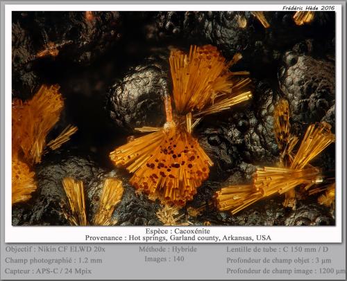 Cacoxenite<br />Hot Springs, Garland County, Arkansas, USA<br />fov 1.2 mm<br /> (Author: ploum)