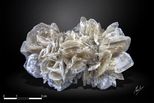 Gypsum<br />Teruel, Aragon, Spain<br />89 x 53 mm<br /> (Author: Manuel Mesa)