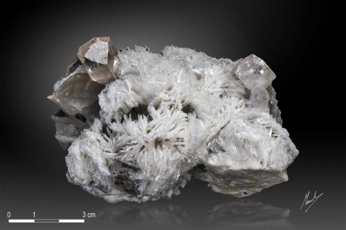 Topaz, Quartz and Albite (variety cleavelandite)<br />Shigar Valley, Shigar District, Gilgit-Baltistan (Northern Areas), Pakistan<br />106 x 66 mm<br /> (Author: Manuel Mesa)