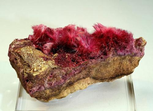 Erythrite, Roselite<br />Bou Azzer mining district, Drâa-Tafilalet Region, Morocco<br />7.5 cm<br /> (Author: Nunzio)