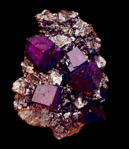 Fluorite, Sphalerite<br />Elmwood Mine, Carthage, Central Tennessee Ba-F-Pb-Zn District, Smith County, Tennessee, USA<br />14 cm<br /> (Author: Nunzio)