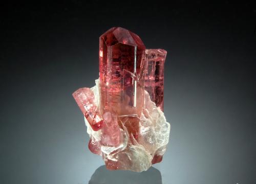 Elbaite<br />Malkhan (Malchan), Krasnyi Chikoy, Zabaykalsky Krai, Russia<br />1.4 x 2.1 cm<br /> (Author: crosstimber)