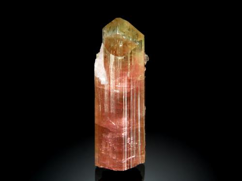 Elbaite<br />Himalaya Mine, Gem Hill, Mesa Grande District, San Diego County, California, USA<br />1.1 x 3.2 cm<br /> (Author: crosstimber)