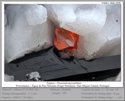 Fluornatropyrochlore<br />Volcán Água de Pau, Água de Pau, Municipio Lagoa, Isla San Miguel, Región Autónoma de las Azores, Portugal<br />fov 2.3 mm<br /> (Author: ploum)