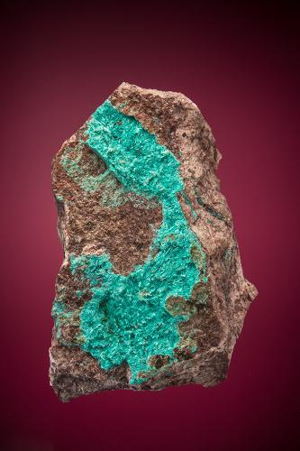 Ajoite<br />New Cornelia Mine, Ajo, Little Ajo Mountains, Ajo District, Pima County, Arizona, USA<br />6.4cm x 4.4cm<br /> (Author: rweaver)