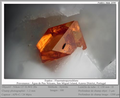 Fluornatropyrochlore<br />Volcán Água de Pau, Água de Pau, Municipio Lagoa, Isla San Miguel, Región Autónoma de las Azores, Portugal<br />fov 1.2 mm<br /> (Author: ploum)
