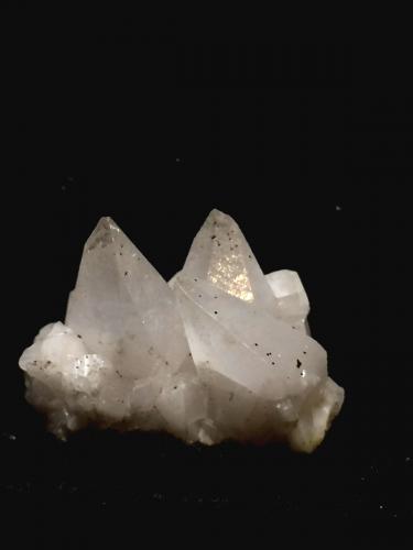 Calcita, Pirita<br />Mines del Mas del Mestre, Alforja, Comarca Baix Camp, Tarragona, Cataluña / Catalunya, España<br />3x3cm<br /> (Autor: Obsi)