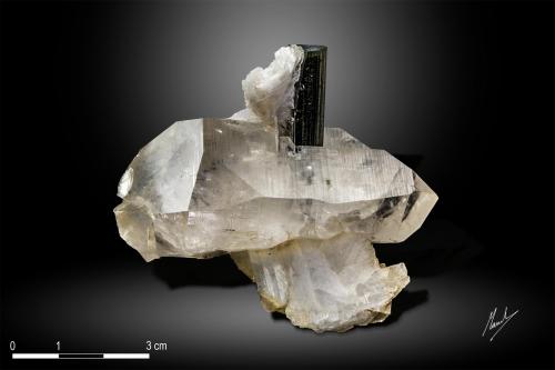 Elbaite on Quartz<br />Stak Nala, Haramosh Mountains, Skardu District, Gilgit-Baltistan (Northern Areas), Pakistan<br />68 x 60 mm<br /> (Author: Manuel Mesa)