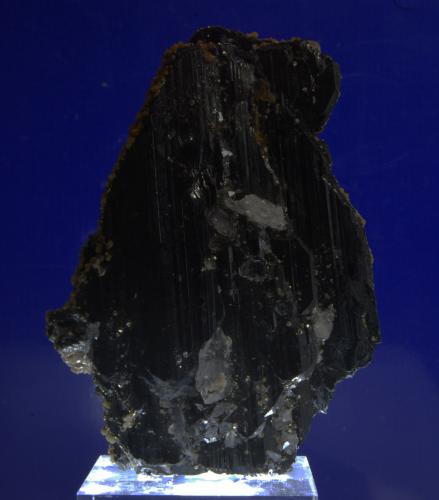 Ferberita<br />Minas da Panasqueira, Aldeia de São Francisco de Assis, Covilhã, Castelo Branco, Cova da Beira, Centro, Portugal<br />6 x 4 cm<br /> (Autor: Ricardo Fimia)