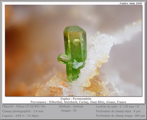 Pyromorphite<br />Steinbach, Cernay, Thann-Guebwiller, Haut-Rhin, Grand Est, France<br />fov 2.6 mm<br /> (Author: ploum)