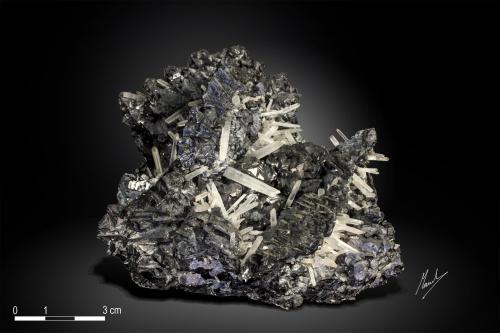 Galena and Quartz<br />Krushev dol Mine, Madan mining area, Rhodope Mountains, Smolyan Oblast, Bulgaria<br />98 x 87 mm<br /> (Author: Manuel Mesa)