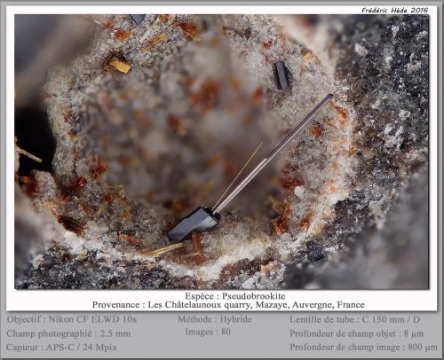 Pseudobrookite<br />Les Châtelaunoux Quarry, Mazaye, Rochefort-Montagne, Clermont-Ferrand District, Puy-de-Dôme Department, Auvergne-Rhône-Alpes, France<br />fov 2.5 mm<br /> (Author: ploum)