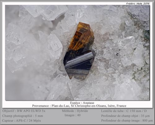 Anatase<br />Plan-du-Lac, Saint Christophe en Oisans, Comuna Le Bourg d'Oisans, Isère, Auvergne-Rhône-Alpes, Francia<br />fov 5 mm<br /> (Author: ploum)