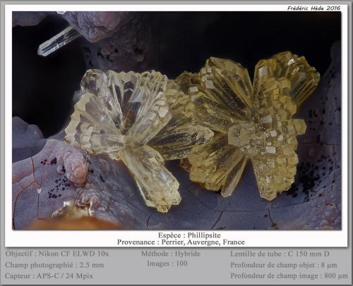 Phillipsite<br />Roca-Neyra, Perrier, Distrito Issoire, Departamento Puy-de-Dôme, Auvergne-Rhône-Alpes, Francia<br />fov 2.5 mm<br /> (Author: ploum)