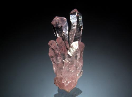 Quartz<br />Concesión Pitorra, Alto da Pitorra, Laranjeiras, Galiléia, Vale do Rio Doce, Minas Gerais, Brasil<br />1.2 x 2.5 cm<br /> (Author: crosstimber)