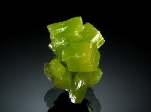 Pyromorphite<br />Mina San Andrés, Espiel, Comarca Valle del Guadiato, Córdoba, Andalucía, España<br />1.2 x 1.9 cm<br /> (Author: crosstimber)