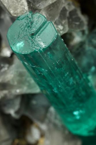 Beryl (variety emerald), Albite (variety cleavelandite), Dolomite, Pyrite<br />Chivor mining district, Palo Arañado Mine, Municipio Chivor, Eastern Emerald Belt, Boyacá Department, Colombia<br />109x41x64mm, main xl=34mm<br /> (Author: Fiebre Verde)