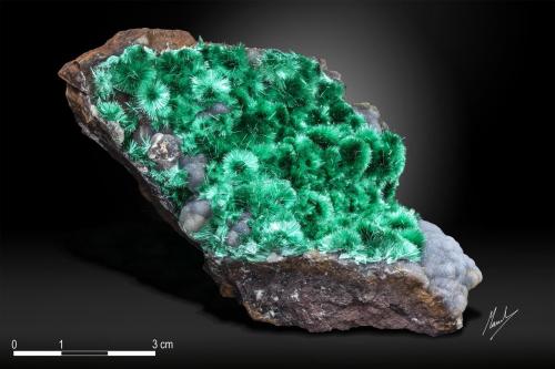 Brochantite<br />Los Azules Mine, Quebrada San Miguel, Copiapó Province, Atacama Region, Chile<br />88 x 46 mm<br /> (Author: Manuel Mesa)