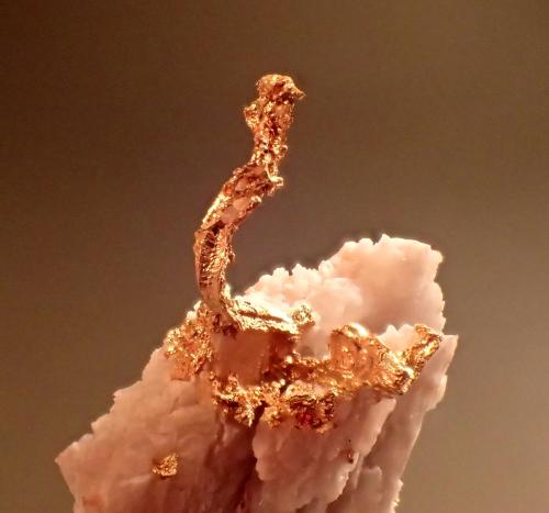 Gold, Quartz<br />Eagle's Nest Mine, Sage Hill, Michigan Bluff District, Placer County, California, USA<br />33 mm x 25 mm 10 mm<br /> (Author: Don Lum)