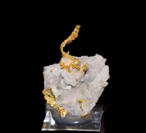Gold, Quartz<br />Eagle's Nest Mine, Sage Hill, Michigan Bluff District, Placer County, California, USA<br />33 mm x 25 mm 10 mm<br /> (Author: Don Lum)