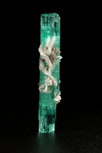 Beryl (variety emerald), Albite (variety cleavelandite), Pyrite, Calcite<br />Chivor mining district, Palo Arañado Mine, Municipio Chivor, Eastern Emerald Belt, Boyacá Department, Colombia<br />33mm<br /> (Author: Fiebre Verde)