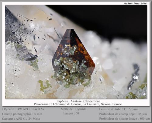 Anatase and Clinochlore on Quartz<br />L'Homme de Beurre, Macizo La Lauzière, Saint-Jean-de-Maurienne, Saboya, Auvergne-Rhône-Alpes, Francia<br />fov 5 mm<br /> (Author: ploum)