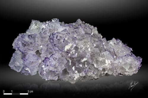 Fluorite<br />Tule Mine, Melchor Múzquiz, Municipio Melchor Múzquiz, Coahuila (Coahuila de Zaragoza), Mexico<br />158 x 80 mm<br /> (Author: Manuel Mesa)
