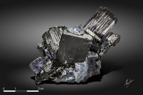 Ferberite and Fluorite<br />Yaogangxian Mine, Yizhang, Chenzhou Prefecture, Hunan Province, China<br />87 x 57 mm<br /> (Author: Manuel Mesa)