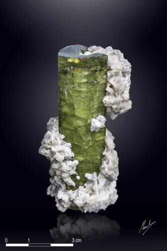 Elbaite<br />Arqueana Mine, Coronel Murta, Vale do Jequitinhonha, Minas Gerais, Brazil<br />70 X 33 mm<br /> (Author: Manuel Mesa)