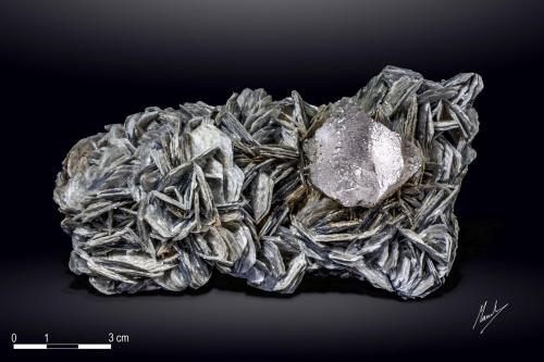 Fluorite on Muscovite<br />Nagar, Hunza Valley, Nagar District, Gilgit-Baltistan (Northern Areas), Pakistan<br />130 x 71 mm<br /> (Author: Manuel Mesa)
