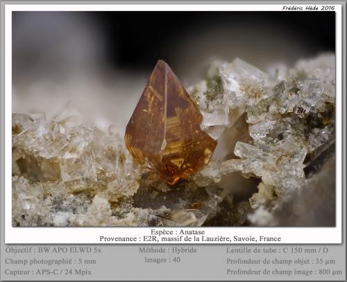 Anatase<br />Col de la Madeleine, Macizo La Lauzière, Saint-Jean-de-Maurienne, Saboya, Auvergne-Rhône-Alpes, Francia<br />fov 5 mm<br /> (Author: ploum)