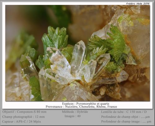 Pyromorphite and Quartz<br />Mina Nuissière, Chénelette, Thizy-les-Bourgs, Villefranche-sur-Saône, Rhône, Auvergne-Rhône-Alpes, Francia<br />fov 12 mm<br /> (Author: ploum)