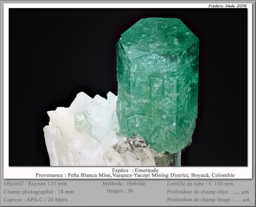Beryl (variety emerald)<br />Peñas Blancas Mine, Municipio San Pablo de Borbur, Western Emerald Belt, Boyacá Department, Colombia<br />fov 18 mm<br /> (Author: ploum)