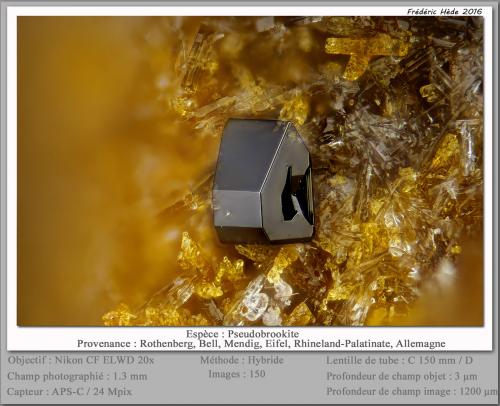 Pseudobrookite on pyroxen<br />Rothenberg, Bell, Mendig, Distrito Mayen-Koblenz, Eifel, Renania-Palatinado/Rheinland-Pfalz, Alemania<br />fov 1.3 mm<br /> (Author: ploum)