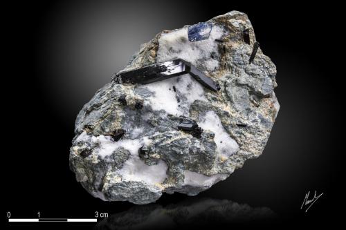 Neptunite<br />Mina California State Gem (Benitoite Gem Mine), Zona San Benito River headwaters, Pico Santa Rita, Distrito New Idria, Condado San Benito, California, USA<br />80 X 61 mm<br /> (Author: Manuel Mesa)