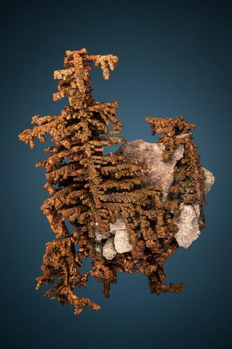 Copper<br />New Cornelia Mine, Ajo, Little Ajo Mountains, Ajo District, Pima County, Arizona, USA<br />5.5cm x 4.0cm<br /> (Author: rweaver)