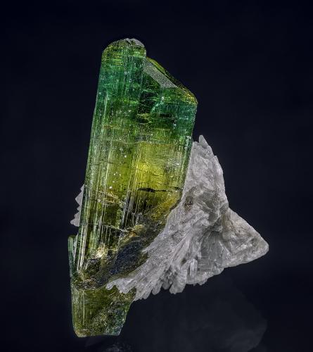 Elbaite, Albite<br />Chhappu, Shigar District, Gilgit-Baltistan (Northern Areas), Pakistan<br />4.7 x 3.2 cm<br /> (Author: am mizunaka)