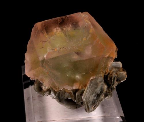 Fluorite, Muscovite<br />Chumar Bakhoor, Hunza Valley, Nagar District, Gilgit-Baltistan (Northern Areas), Pakistan<br />55mm x 50mm x 35mm<br /> (Author: Don Lum)